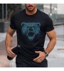 Brown Bears Roar Short Sleeve T-shirt